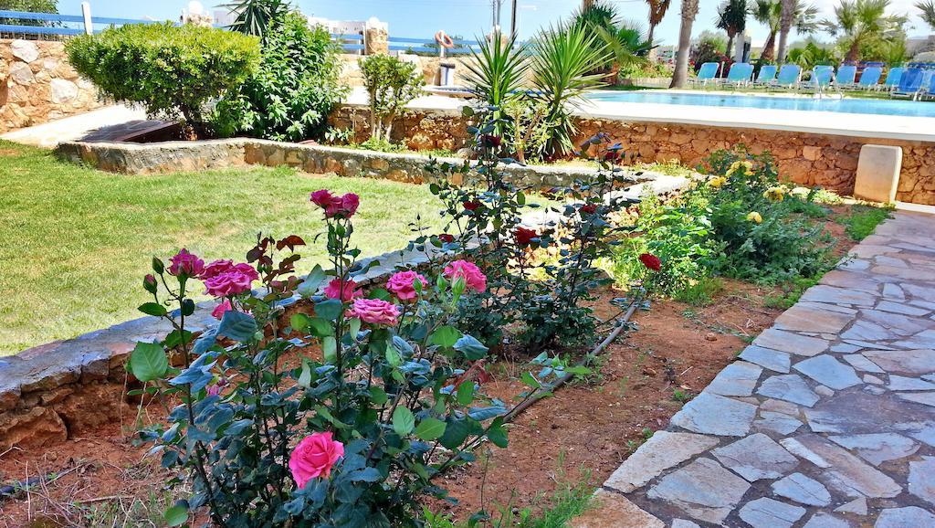 Cretan Family Apartments Malia  Ngoại thất bức ảnh